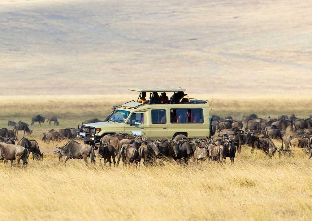 NGORONGORO