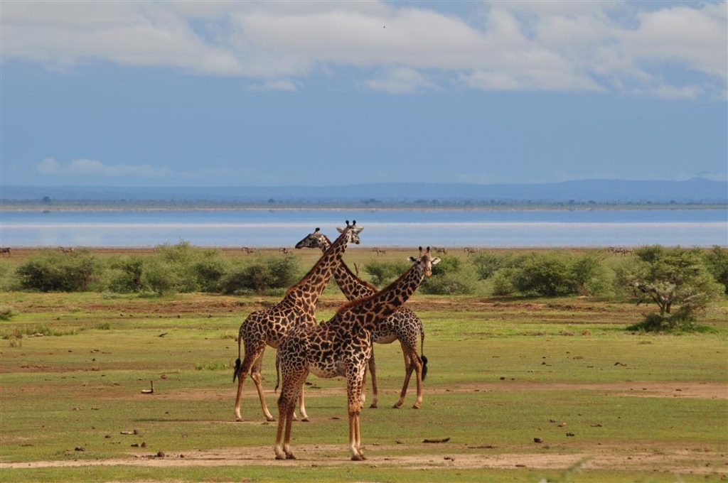 LAKE MANYARA