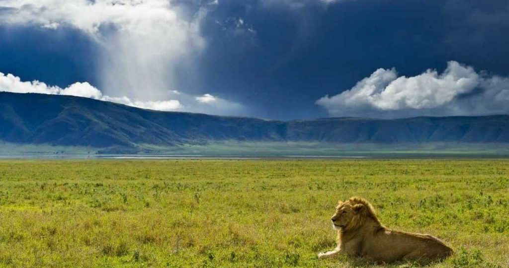 The-view-of-Ngorngoro-Crater--1024x540