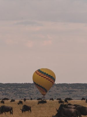 Baloon Safaris
